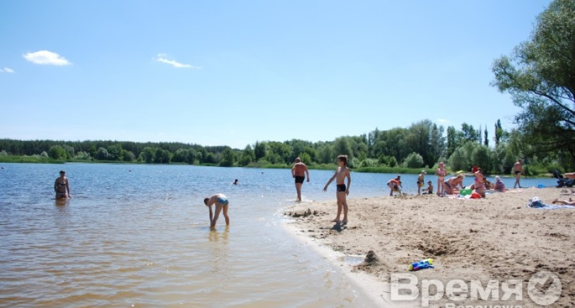 Санитарные врачи нашли кишечную инфекцию в воде у шести популярных пляжей Воронежа
