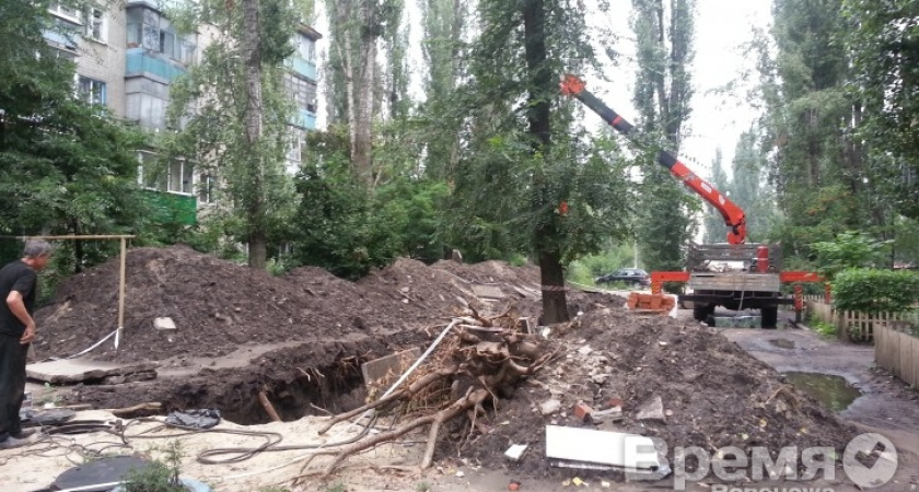 Воронежцев призывают не смывать в канализацию картон, бутылки, тряпки, фрукты и овощи