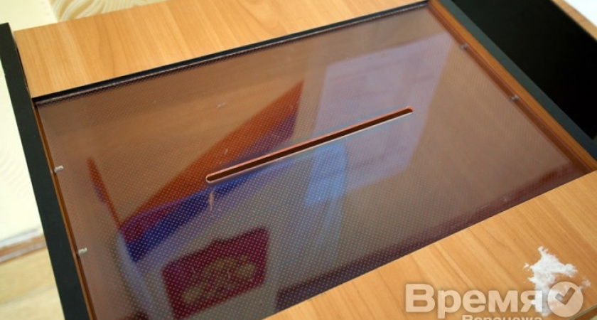 Комитет по контролю над выборами мэра Воронежа создадут на базе самых авторитетных местных общественных организаций