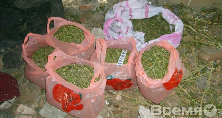 В Воронежской области растёт число случаев продажи наркотиков через Интернет