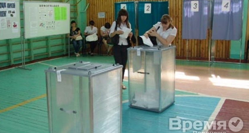 В Воронеже из-за отсутствия веб-камер ход голосования снимут на мобильники и фотоаппараты