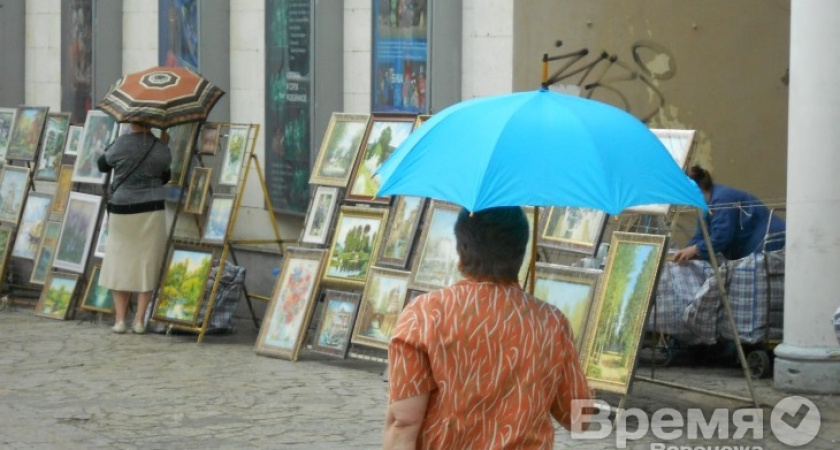 В Воронеже в день выборов будет пасмурно и дождливо