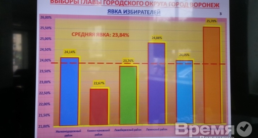 Мэра миллионного Воронежа избрали 84 тысячи человек