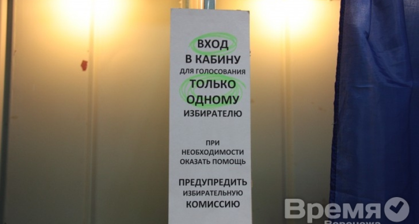 Каждый голос избирателя победителю выборов мэра Воронежа обошёлся в 178 рублей, а кандидату с поддержкой в 0,9% – в 7 раз дороже