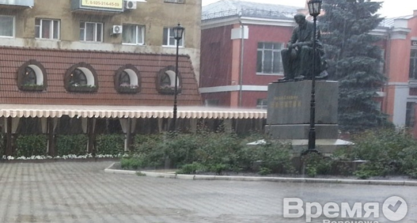 Воронежцы считают брендами нашего города двух поэтов, писателя и императора