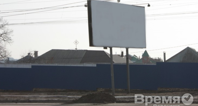 Александр Гусев: Реклама портит облик Воронежа
