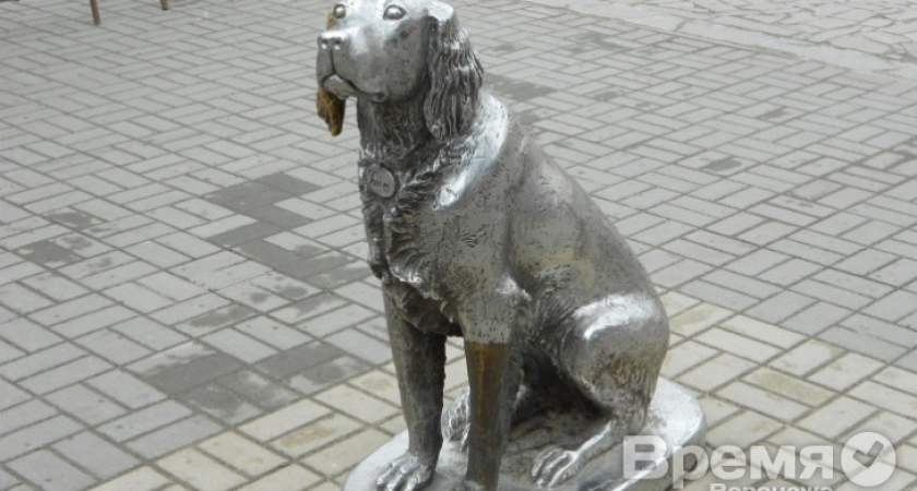 Исследователи под руководством Эдуарда Боякова раскритиковали воронежский памятник Белому Биму