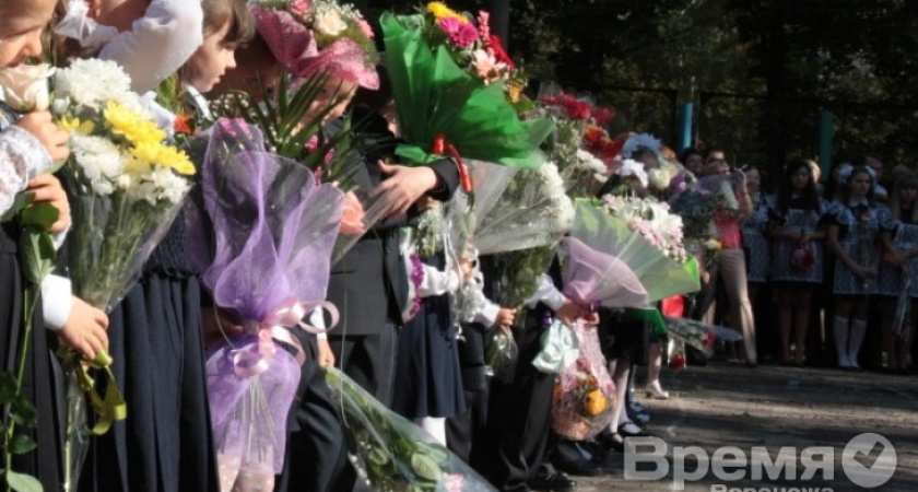 Воронежский депутат предложил не принимать в школы детей нелегальных мигрантов