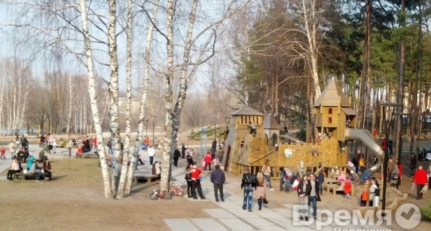 Синоптики прогнозируют потепление в Воронежской области