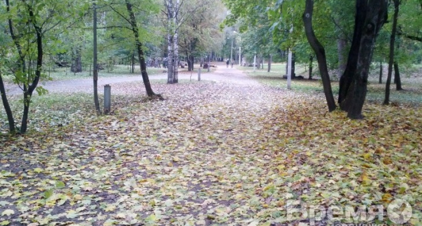Вместо воронежской экологической тропы может появиться развлекательный парк