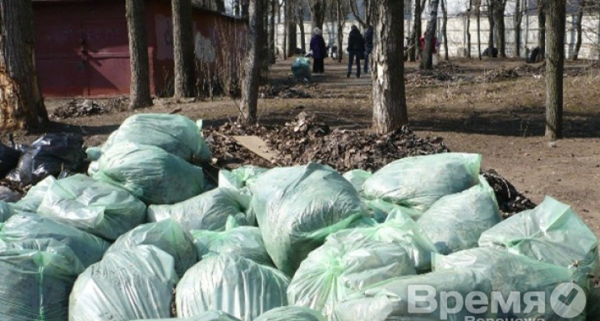 В Воронежской области скоро не останется свалок