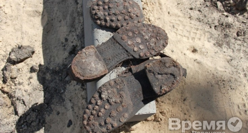 Под Воронежем венгры ищут останки бомбардировщика, сбитого в годы войны