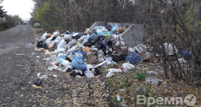 В посёлке под Воронежем деревья увешаны пакетами с мусором, а отходы не вывозят неделями