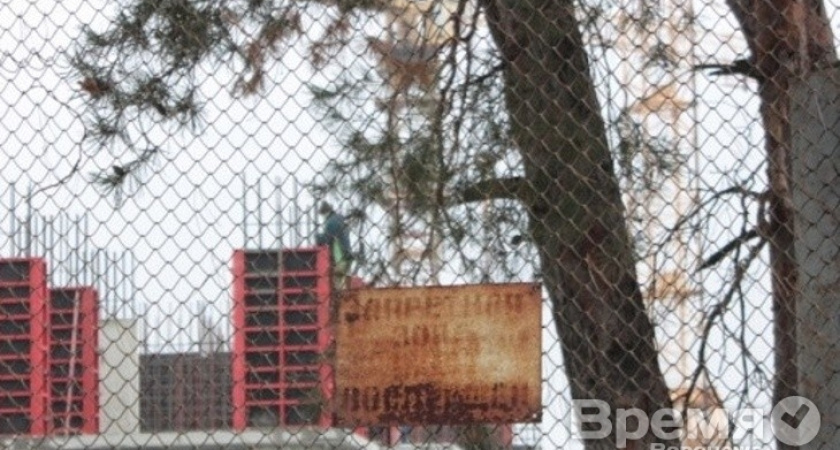 Воронежские риэлторы призывают не застраивать городские парки
