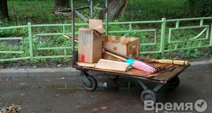 Воронежцев призывают сдать макулатуру и бутылки