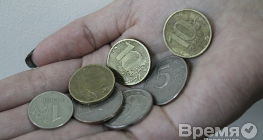 В Воронежской области прожиточный минимум вырос на 46 рублей
