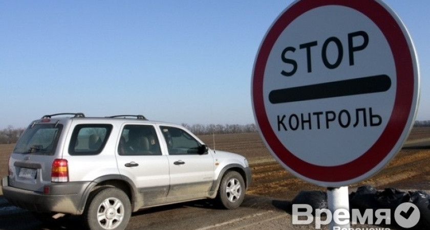 Россельхознадзор: Нарушений при изъятии свиней в районах, где выявили вирус африканской чумы, не зарегистрировано