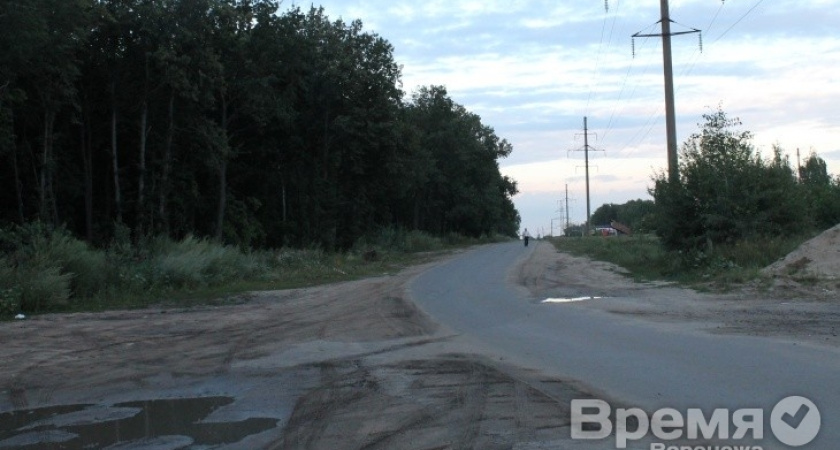 Чиновники объяснили воронежцам, почему необходимо расширение дороги в районе СХИ