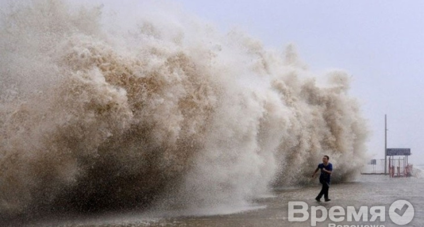 Воронежские туристы, купившие путёвки на Филиппины, могут потребовать вернуть деньги
