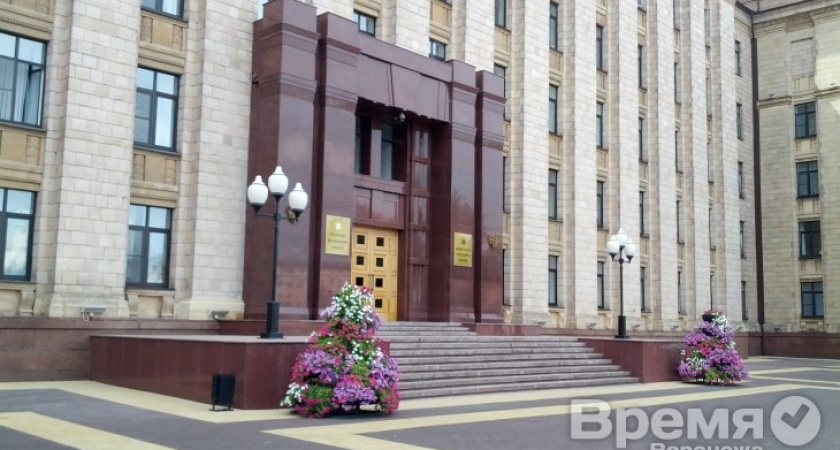 Замгубернатора Воронежской области ищут с помощью сайта интернет-рекрутинга