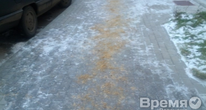 Воронежские коммунальщики приступили к очистке дорог от снега