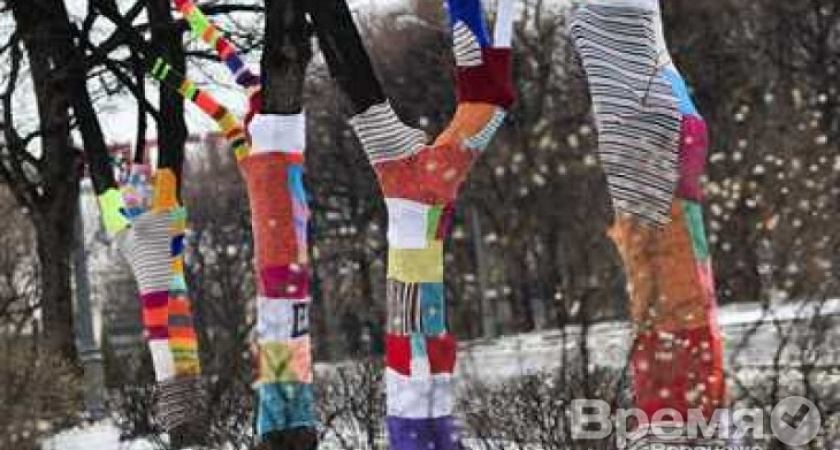 Воронежские мастерицы нарядят лавочки, деревья и памятники сквера в вязаные вещи