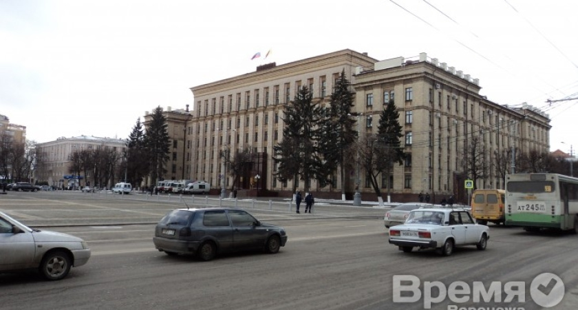 Воронежские чиновники объяснили, какие НКО могут рассчитывать на получение государственных грантов
