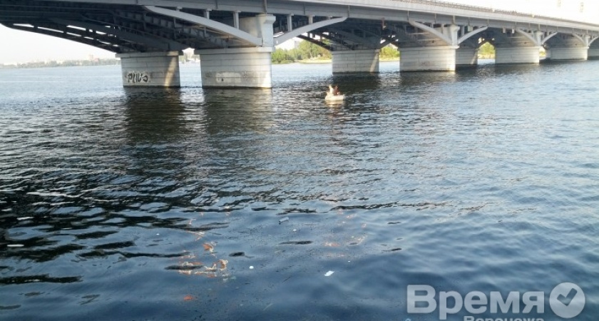 К реконструкции воронежского водохранилища привлекут международных специалистов