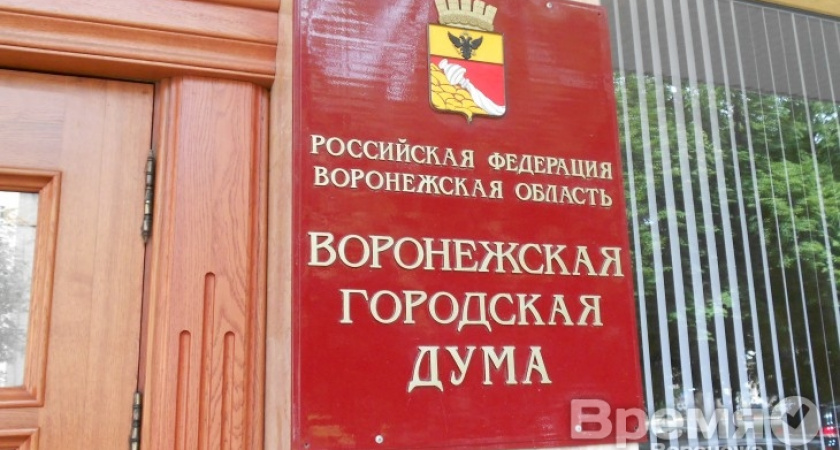 Депутатов Воронежской горДумы могут лишить зарплаты