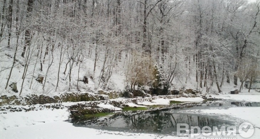 Ливневый коллектор в парке «Динамо» могут проложить прямо по пешеходным дорожкам
