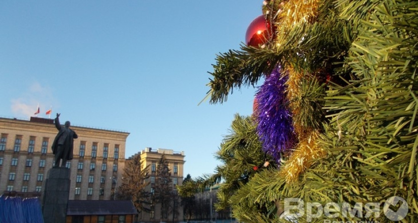 После волгоградских терактов к главной ёлке Воронежа будут пускать через металлодетекторы