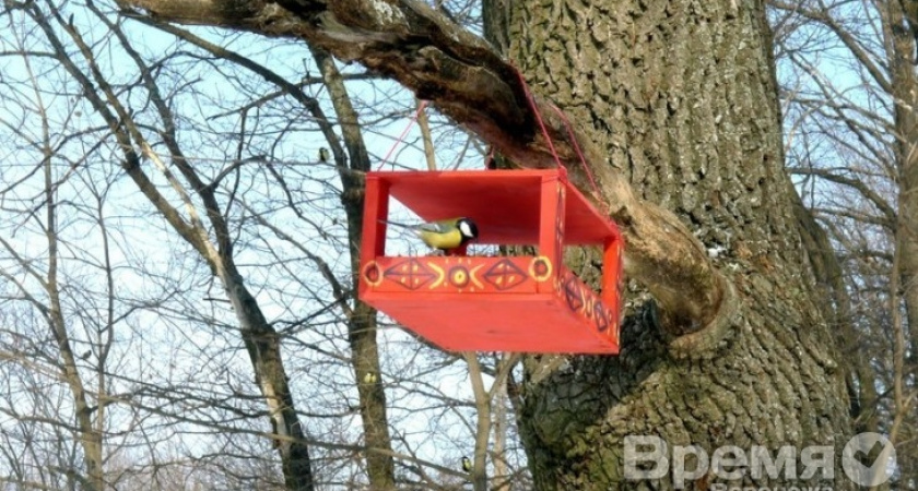 Воронежцы закупили 12 мешков семечек для птиц