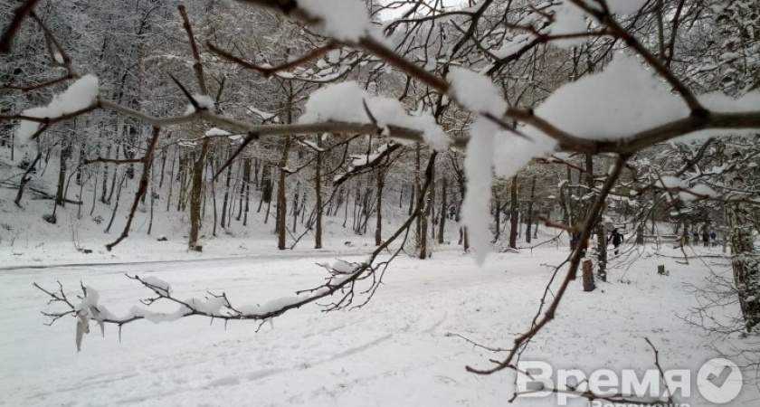На этой неделе в Воронеже резко похолодает