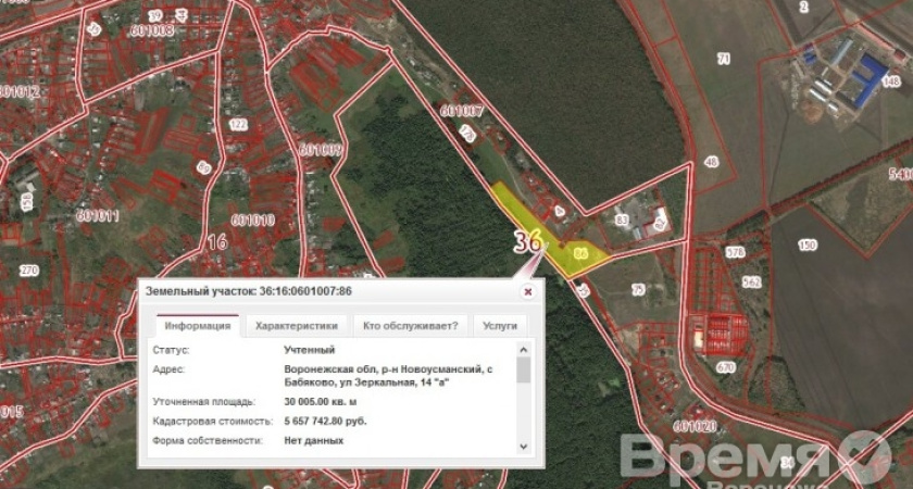 Под Воронежем жители заявляют, что у них украли земли, а теперь собственные участки предлагают выкупить