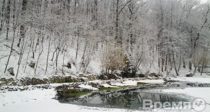 Александр Гусев раскритиковал работу комбината благоустройства за свалку возле парка «Динамо»