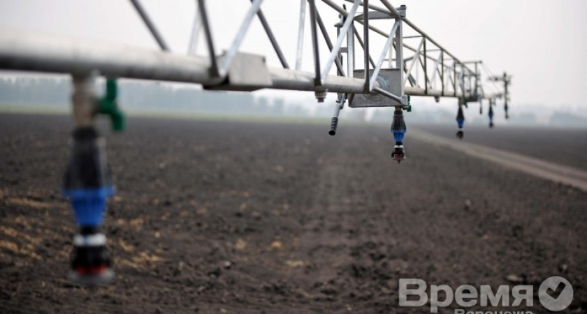 Алексей Гордеев потребовал по суду изымать сельхозземлю у собственников, которые её не засеивают