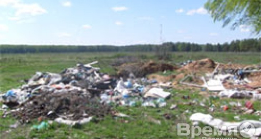 В Воронежской области мусор будут перерабатывать и использовать в качестве вторичных материалов