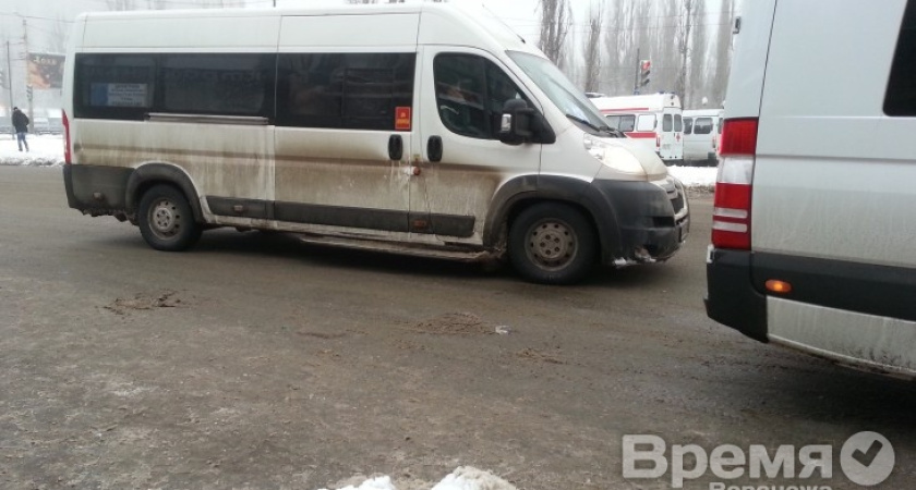 Воронежские гаишники начали массовую проверку автобусов и маршруток