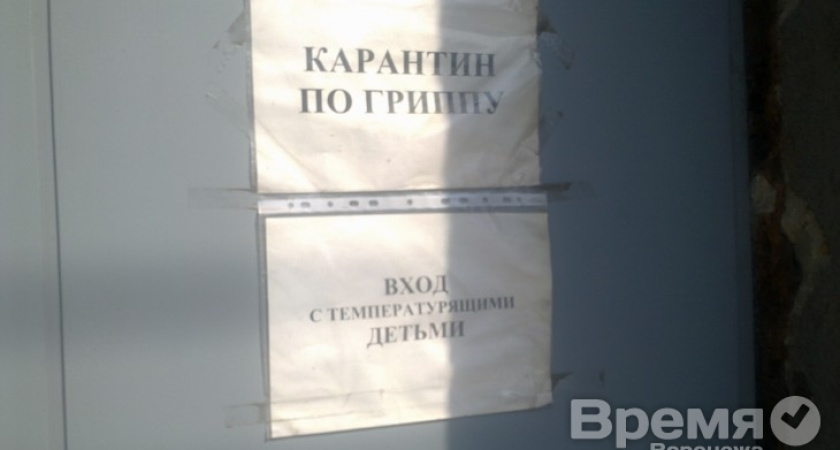 Санитарные врачи: Грипп и ОРВИ - одни из самых актуальных медицинских и социально-экономических проблем