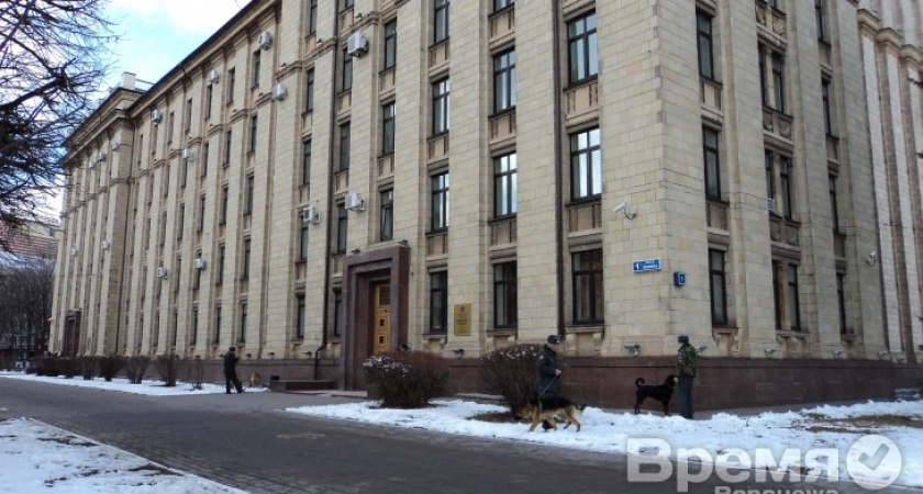 «Альянс зеленых и социал-демократов» выбирает из двух кандидатов претендента на пост губернатора Воронежской области