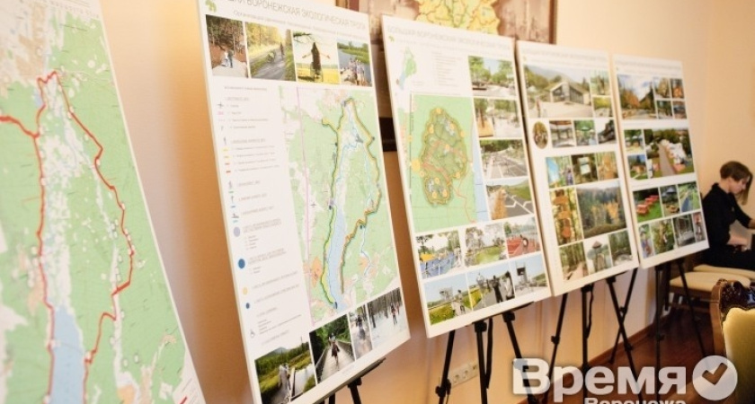 Фирма, которая занималась реконструкцией «Олимпика» в рамках Большой Воронежской экотропы, отказалась от работы