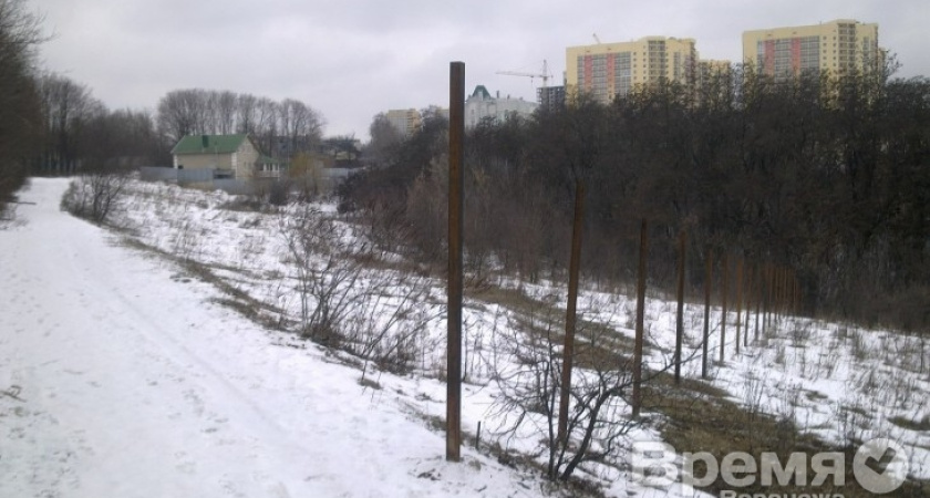 Воронежцы испугались, что на территории парка «Динамо» началась стройка