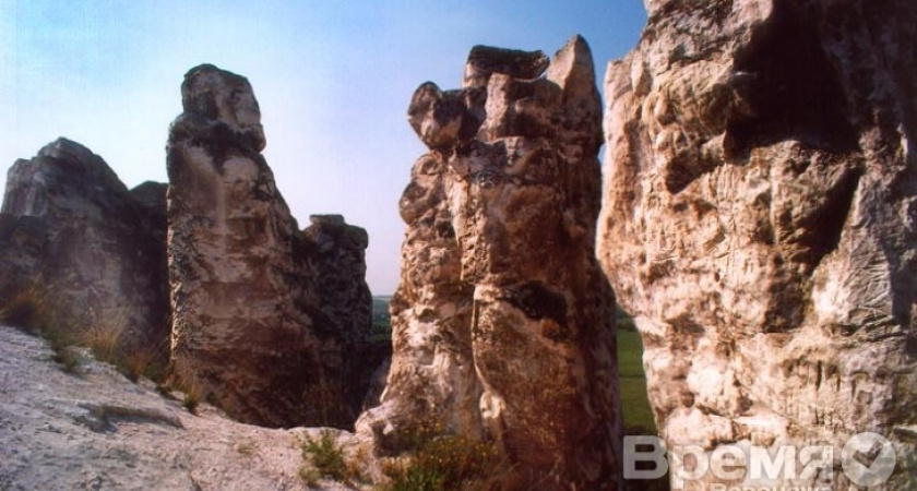 Эксперты: Экскурсионные туры в Воронежской области разнообразны, но мало востребованы