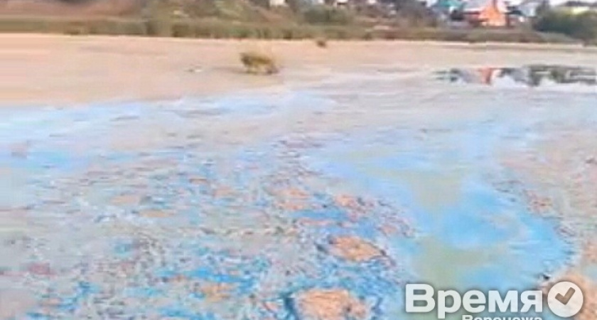 Масловка грозит Воронежу экологической катастрофой