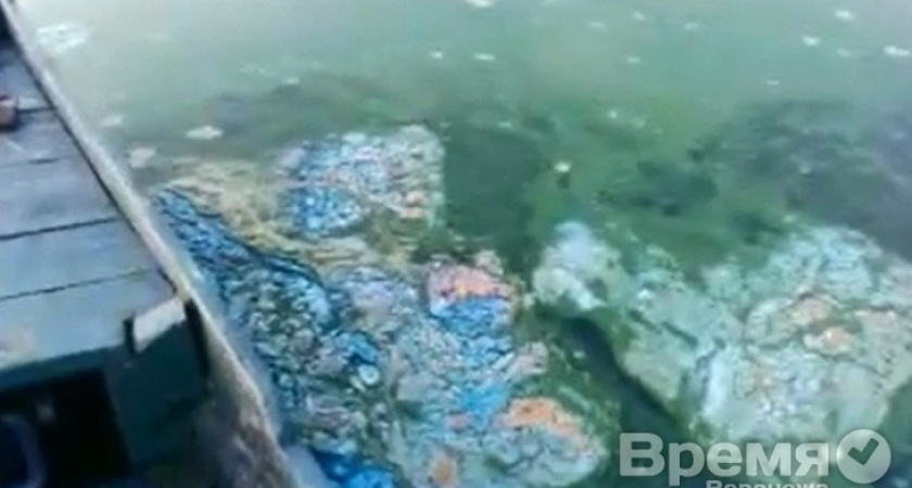 Только этого мало. Масловке