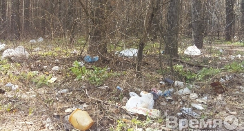 Воронежцы недовольны помойкой в лесу