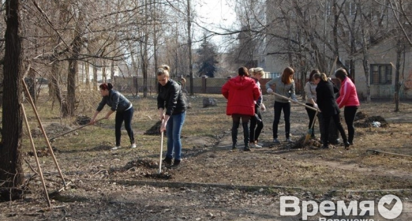 Алексей Гордеев просит воронежцев сделать уборку