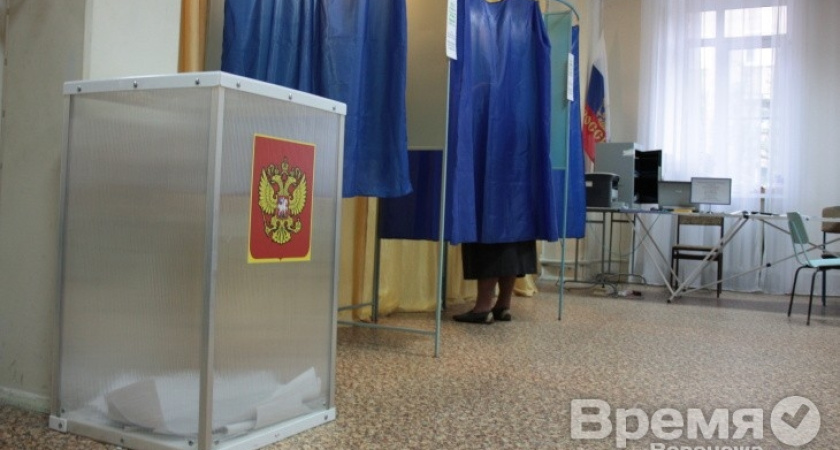 В преддверии губернаторских выборов в Воронеже создадут школу наблюдателей