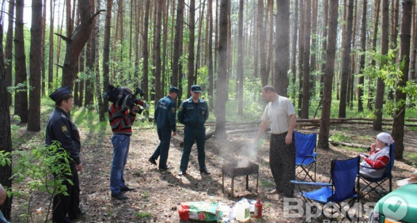 Воронежцам запретили разжигать костры в лесах