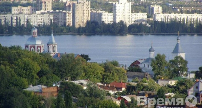 Воронежская область стала восьмой в России по выполнению указов президента